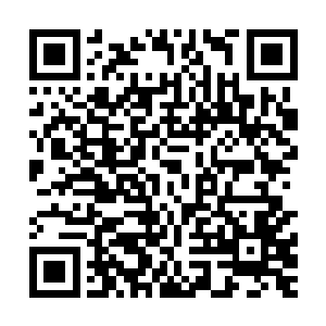 要是说是古代强者掌握的一种制造尸鬼的方法的话倒不用惧怕二维码生成