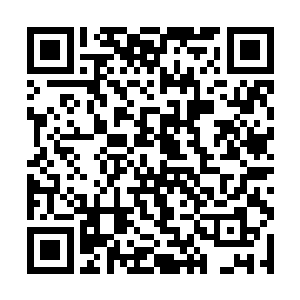 要是这家伙还剩下点理智仗着地理优势和他打游击战二维码生成