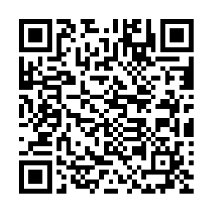 要是霍霜儿收到了什么伤害的话恐怕他刘海也是没有什么下场二维码生成