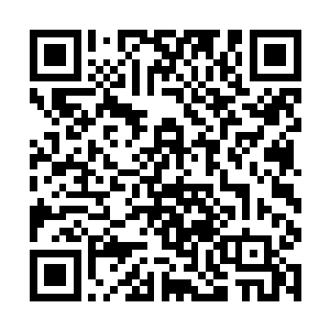 要没我从小护着他……他早被其他家里人带坏了……二维码生成