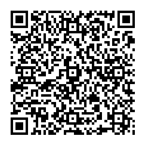 要知道叶秋可是从来都没有见到过这些小兔崽子在自己有这么不同于寻常的举动的时候这么安静的样子二维码生成