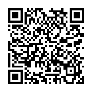 要知道无数的炼药师对自己的火毒都没有任何办法二维码生成