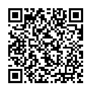 要知道渡玄上人怎么说也是曾经的天榜排名前二十的恐怖的存在二维码生成