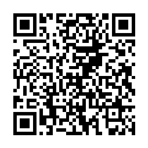 要知道眼前的龙傲天在他们的眼中可是无比的神秘二维码生成