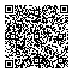 要知道若是想要入臂膀那般运转双手剑所消耗的精力亦或者心神都是单手剑的无数倍看对方的架势显然已经到了绝对的巅峰二维码生成