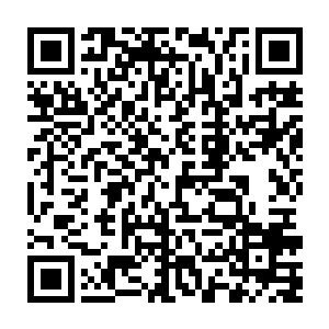 要知道这四百艘小型仙舟之上配备的符文炮也是和战争城堡上的符文炮一样二维码生成