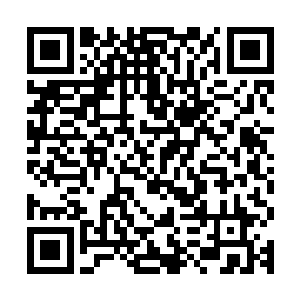 要知道这跨域水木相生的格局已占据了两域世界五气的五分之二二维码生成