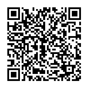 要知道齐天麟那可是接受了大荒世界的界主的传承才有了现在的境界二维码生成