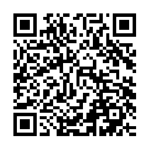 要知道龙傲天的实力据我猜测肯定是已经达到了传说中的超神级二维码生成