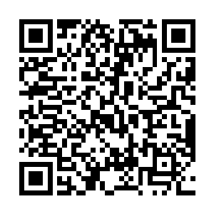 见到他们的表现龙傲天对于小金的训练成果十分的满意二维码生成