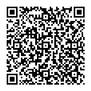 见如此 龙太子也不墨迹 招呼一声率先向前飞去 他随意一挥 抬手撕裂了光幕 顿时飞了进去二维码生成