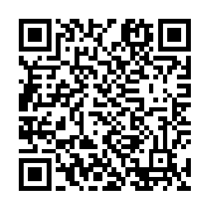 见姚紫怡和赵洛然两个人的战斗差不多已经到了尾声了二维码生成