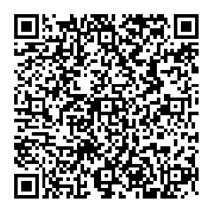 见小龙女呆住了　龙太子上前赶忙道　若是他送的是其他礼物　想必他还会接受　可这毕竟是金丹　是极为贵重之物二维码生成