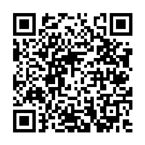 见计鹿不再把东西放门口就走果最后还是睡过去了二维码生成