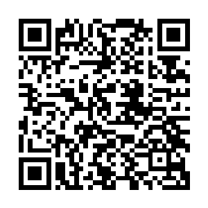 见转眼间曾经在他们眼里高不可攀的洪院长也成了他们的同学二维码生成