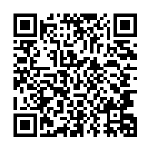 见馒头松软了一些就拿过来用匕首把馒头切成一片一片的二维码生成