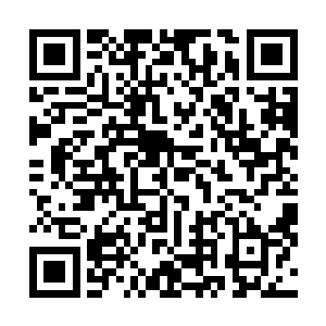 视效工程师们能够看到的是一张代理图像或图像的一部分二维码生成
