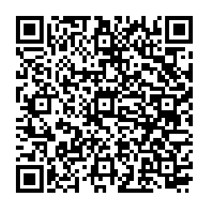 觉得之前的付出可以说是得到了超值回报――双方的关系也是因此仿佛又跨过了一道坎二维码生成