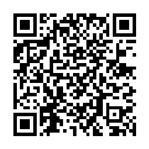 解冻后的地面上有无数的残尸和被海鸟啄食一空的枯骨二维码生成