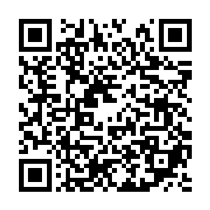 解扭转我们各级政府干部的官本位到公仆型的意识二维码生成