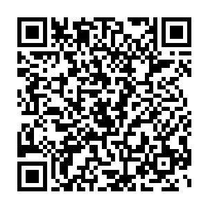 言左左坏了双胞胎这件事情几乎是第一时间被传到爸爸妈妈耳朵里二维码生成