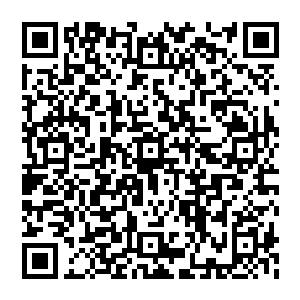 詹彩芝昨天和自己一道回来时破天荒的向自己建议是不是考虑开一个县委扩大会议来研究经济工作二维码生成