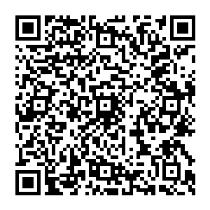 詹彩芝突然发现自己对经济工作这一块上的看法理解在对方面前似乎更像是一个小学生和大学教授般的差距二维码生成