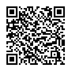 警方办案遭到了花城演艺公司老板组织的暴力阻挠二维码生成