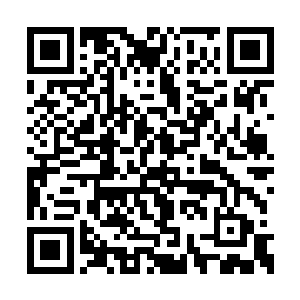 计算机会根据英雄在各个项目中的体能衰退情况二维码生成