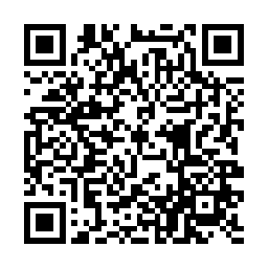 认为我们四圣兽和仙界所有的仙兽都应该归他们管辖二维码生成