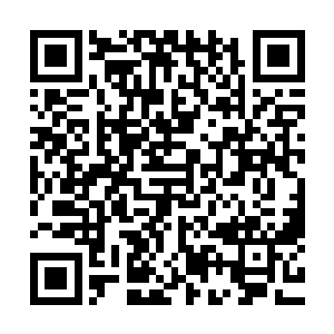 让一帮只训练六个月的新人去对抗格罗斯这样的老牌佣兵头子二维码生成