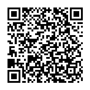 让丁长生这个自以为很机灵的人都认为赵庆虎这种表情是真实的痛苦二维码生成