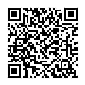 让人去福林街上一家叫做陈氏利器的武器店查查二维码生成