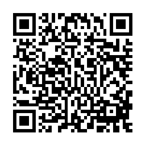 让他以为王世子第一天在他办公室里写卷子是直接抄的正确答案二维码生成