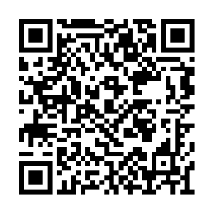 让他们去跟商船里的异形皇后与许多异形硬碰硬二维码生成