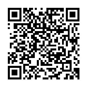 让他在众王之墓当中被叶尊击败所承受的怒火全部都发泄了出来二维码生成
