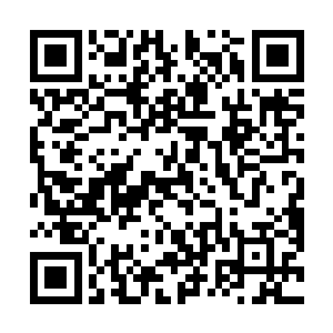 让他成功地将近战机甲的运动能力再次提升并且细腻化二维码生成