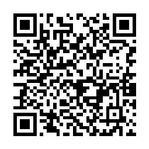 让他放放血才是……老爷最近不是谋外任的缺儿么二维码生成