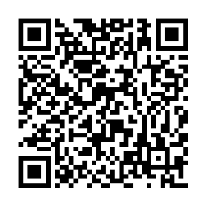 让他身上所受的重伤在极短的时间内便恢复痊愈二维码生成