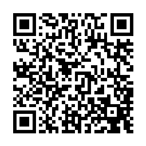 让他还有顾冷辰都看清你……你根本不配他们对你如此爱慕二维码生成