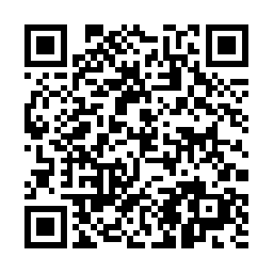 让他面临无数的暗算刺杀只为了保护另外一个儿子么二维码生成