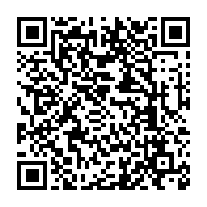 让你那个会打洞还不怕火的战士和那个拥有半神力量的骨兵老实点二维码生成