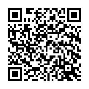 让其变得更加对自己有利――比如之前和梅迪尔丽签订的血书二维码生成