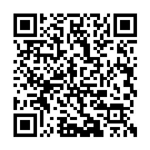 让动画片成为每年北美电影市场不可忽视的一员二维码生成