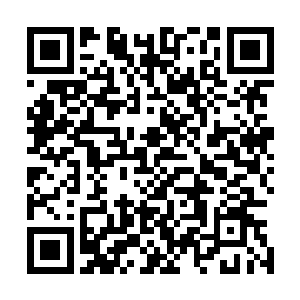 让她对弱小的人类以及可能暗藏恶意的陈长生生出很多怨气二维码生成