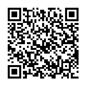 让尤月将身上的二十张九品符箓给林绯虞等人每人一张二维码生成