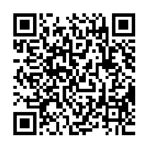 让巴克原本打算离开小岛是否继续追杀另外活口的思路戛然而止二维码生成