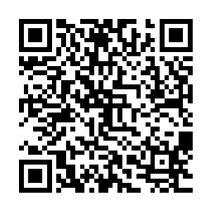 让得我们这位未来的皇嫂下车来与我们兄弟几人见上一见如何二维码生成