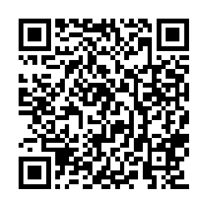 让得身后的秦宇瞬间将目光看向阎罗殿大殿门口二维码生成