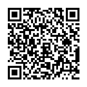 让我们一定要给面子这一次他们的领导什么的都跟着一起来的二维码生成